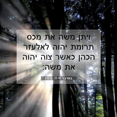 Picture 07 - במדבר 31:41 HEB - ויתן משה את מכס תרומת יהוה - Bible Verse Picture