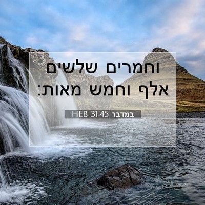 Picture 07 - במדבר 31:45 HEB - וחמרים שלשים אלף וחמש - Bible Verse Picture