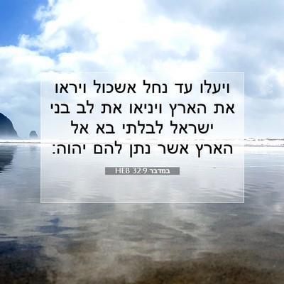 Picture 07 - במדבר 32:9 HEB - ויעלו עד נחל אשכול ויראו את - Bible Verse Picture