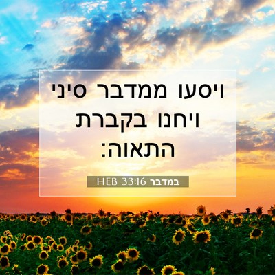 Picture 07 - במדבר 33:16 HEB - ויסעו ממדבר סיני ויחנו - Bible Verse Picture