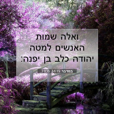Picture 07 - במדבר 34:19 HEB - ואלה שמות האנשים למטה - Bible Verse Picture