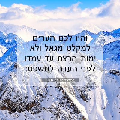Picture 07 - במדבר 35:12 HEB - והיו לכם הערים למקלט מגאל - Bible Verse Picture