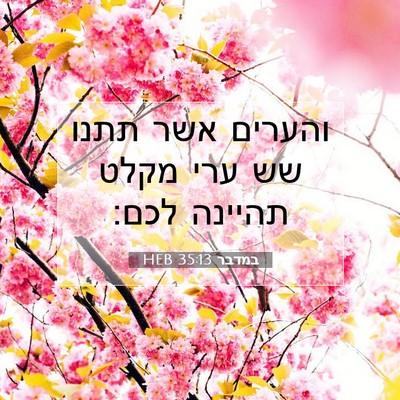 Picture 07 - במדבר 35:13 HEB - והערים אשר תתנו שש ערי מקלט - Bible Verse Picture