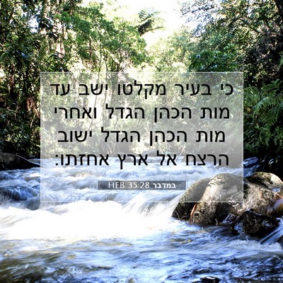 Picture 07 - במדבר 35:28 HEB - כי בעיר מקלטו ישב עד מות - Bible Verse Picture