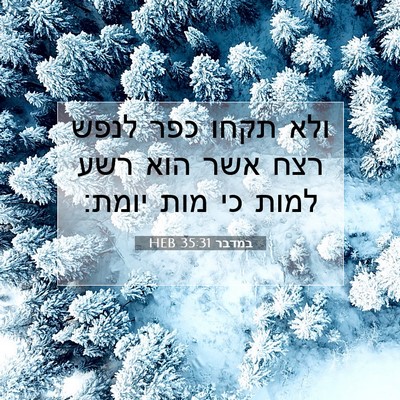 Picture 07 - במדבר 35:31 HEB - ולא תקחו כפר לנפש רצח אשר - Bible Verse Picture