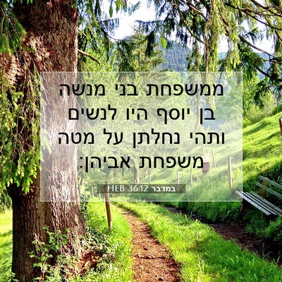 Picture 07 - במדבר 36:12 HEB - ממשפחת בני מנשה בן יוסף היו - Bible Verse Picture