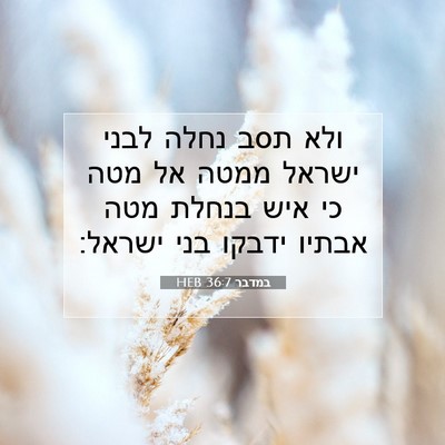 Picture 07 - במדבר 36:7 HEB - ולא תסב נחלה לבני ישראל - Bible Verse Picture