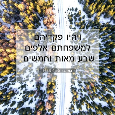 Picture 07 - במדבר 4:36 HEB - ויהיו פקדיהם למשפחתם אלפים - Bible Verse Picture