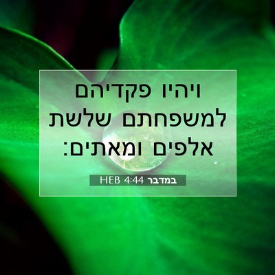 Picture 07 - במדבר 4:44 HEB - ויהיו פקדיהם למשפחתם שלשת - Bible Verse Picture