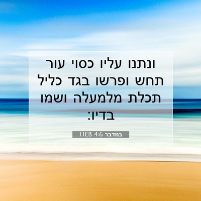 Picture 07 - במדבר 4:6 HEB - ונתנו עליו כסוי עור תחש - Bible Verse Picture