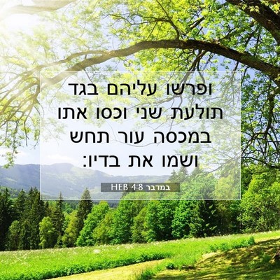 Picture 07 - במדבר 4:8 HEB - ופרשו עליהם בגד תולעת שני - Bible Verse Picture