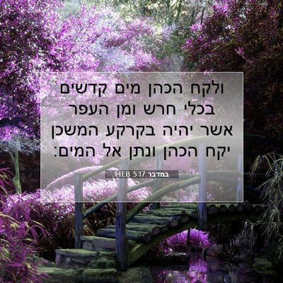 Picture 07 - במדבר 5:17 HEB - ולקח הכהן מים קדשים בכלי - Bible Verse Picture