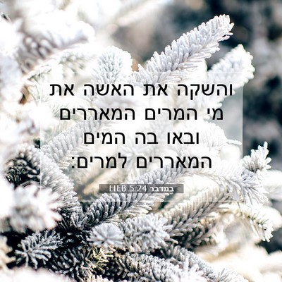 Picture 07 - במדבר 5:24 HEB - והשקה את האשה את מי המרים - Bible Verse Picture