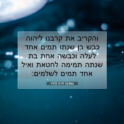 Picture 07 - במדבר 6:14 HEB - והקריב את קרבנו ליהוה כבש - Bible Verse Picture