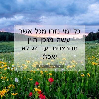 Picture 07 - במדבר 6:4 HEB - כל ימי נזרו מכל אשר יעשה - Bible Verse Picture