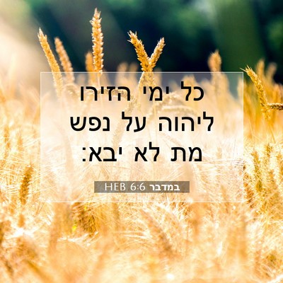 Picture 07 - במדבר 6:6 HEB - כל ימי הזירו ליהוה על נפש - Bible Verse Picture