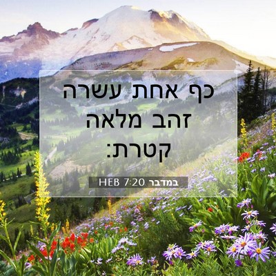 Picture 07 - במדבר 7:20 HEB - כף אחת עשרה זהב מלאה - Bible Verse Picture