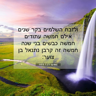 Picture 07 - במדבר 7:23 HEB - ולזבח השלמים בקר שנים אילם - Bible Verse Picture