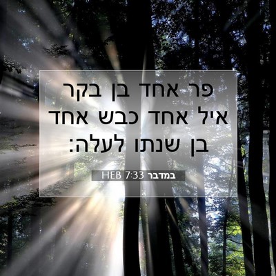 Picture 07 - במדבר 7:33 HEB - פר אחד בן בקר איל אחד כבש - Bible Verse Picture