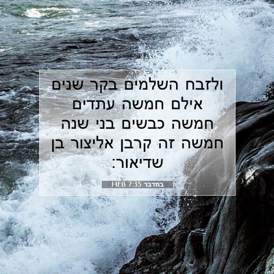 Picture 07 - במדבר 7:35 HEB - ולזבח השלמים בקר שנים אילם - Bible Verse Picture
