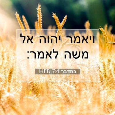 Picture 07 - במדבר 7:4 HEB - ויאמר יהוה אל משה - Bible Verse Picture