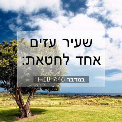 Picture 07 - במדבר 7:46 HEB - שעיר עזים אחד - Bible Verse Picture