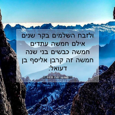 Picture 07 - במדבר 7:47 HEB - ולזבח השלמים בקר שנים אילם - Bible Verse Picture