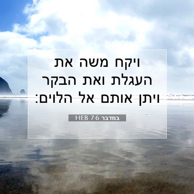 Picture 07 - במדבר 7:6 HEB - ויקח משה את העגלת ואת הבקר - Bible Verse Picture