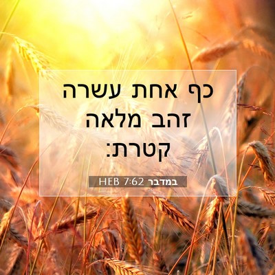 Picture 07 - במדבר 7:62 HEB - כף אחת עשרה זהב מלאה - Bible Verse Picture