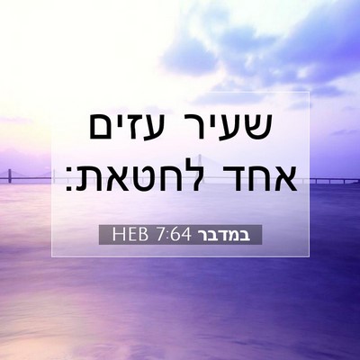 Picture 07 - במדבר 7:64 HEB - שעיר עזים אחד - Bible Verse Picture