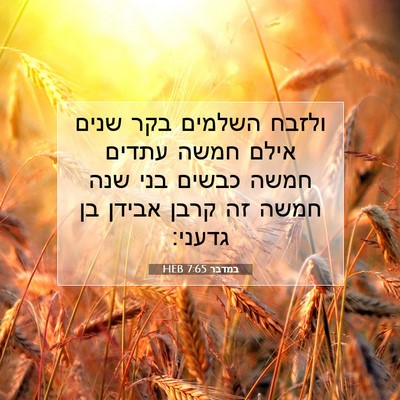 Picture 07 - במדבר 7:65 HEB - ולזבח השלמים בקר שנים אילם - Bible Verse Picture