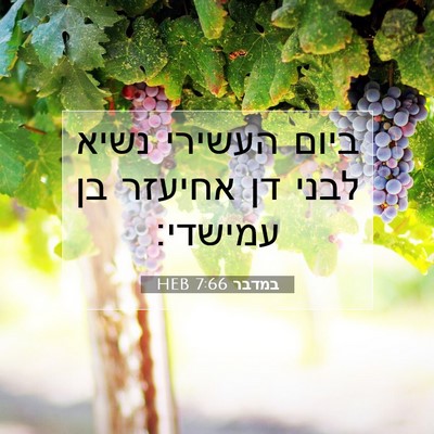 Picture 07 - במדבר 7:66 HEB - ביום העשירי נשיא לבני דן - Bible Verse Picture