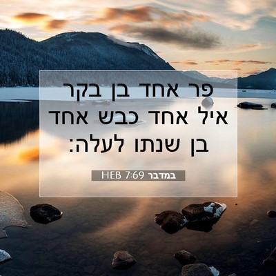 Picture 07 - במדבר 7:69 HEB - פר אחד בן בקר איל אחד כבש - Bible Verse Picture
