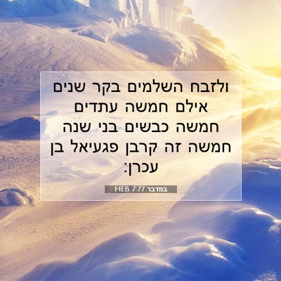 Picture 07 - במדבר 7:77 HEB - ולזבח השלמים בקר שנים אילם - Bible Verse Picture