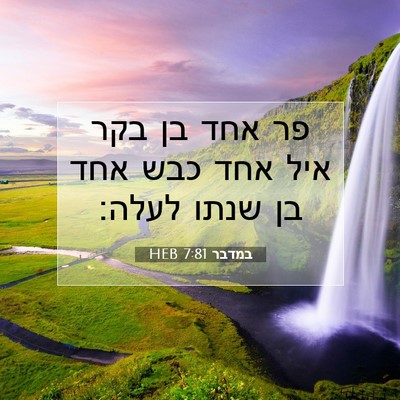 Picture 07 - במדבר 7:81 HEB - פר אחד בן בקר איל אחד כבש - Bible Verse Picture