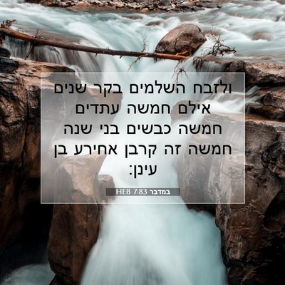 Picture 07 - במדבר 7:83 HEB - ולזבח השלמים בקר שנים אילם - Bible Verse Picture