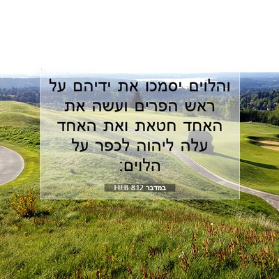 Picture 07 - במדבר 8:12 HEB - והלוים יסמכו את ידיהם על - Bible Verse Picture