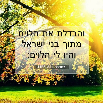 Picture 07 - במדבר 8:14 HEB - והבדלת את הלוים מתוך בני - Bible Verse Picture