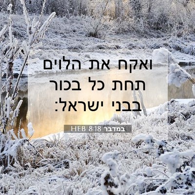 Picture 07 - במדבר 8:18 HEB - ואקח את הלוים תחת כל בכור - Bible Verse Picture