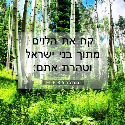 Picture 07 - במדבר 8:6 HEB - קח את הלוים מתוך בני ישראל - Bible Verse Picture