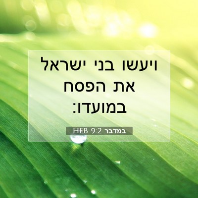 Picture 07 - במדבר 9:2 HEB - ויעשו בני ישראל את הפסח - Bible Verse Picture
