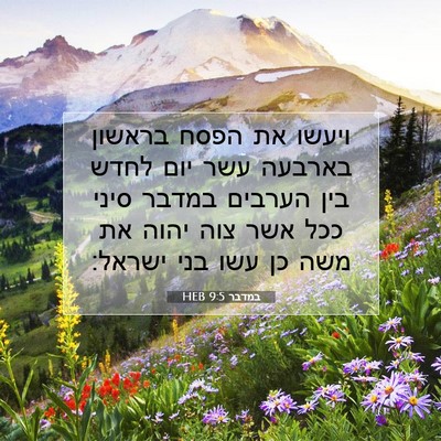 Picture 07 - במדבר 9:5 HEB - ויעשו את הפסח בראשון - Bible Verse Picture
