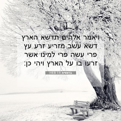 Picture 07 - בראשית 1:11 HEB - ויאמר אלהים תדשא הארץ דשא - Bible Verse Picture