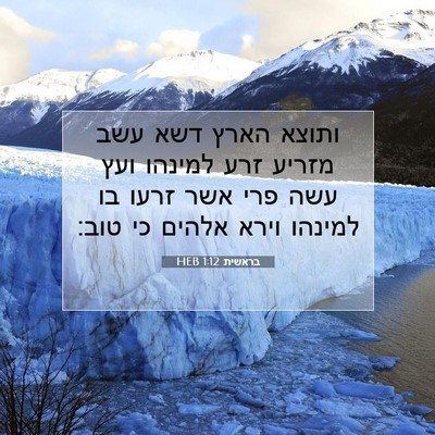 Picture 07 - בראשית 1:12 HEB - ותוצא הארץ דשא עשב מזריע - Bible Verse Picture