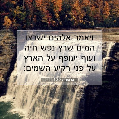 Picture 07 - בראשית 1:20 HEB - ויאמר אלהים ישרצו המים שרץ - Bible Verse Picture