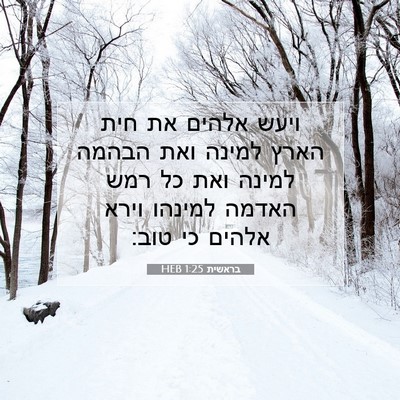 Picture 07 - בראשית 1:25 HEB - ויעש אלהים את חית הארץ - Bible Verse Picture