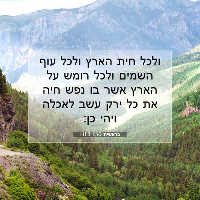 Picture 07 - בראשית 1:30 HEB - ולכל חית הארץ ולכל עוף - Bible Verse Picture