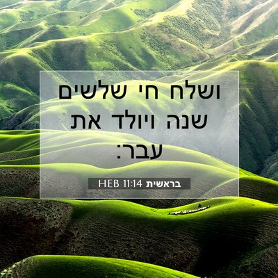 Picture 07 - בראשית 11:14 HEB - ושלח חי שלשים שנה ויולד את - Bible Verse Picture