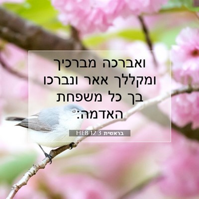 Picture 07 - בראשית 12:3 HEB - ואברכה מברכיך ומקללך אאר - Bible Verse Picture
