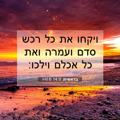 Picture 07 - בראשית 14:11 HEB - ויקחו את כל רכש סדם ועמרה - Bible Verse Picture